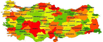 Private security companies in Turkey